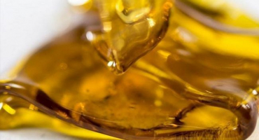 Užitečné vlastnosti velbloudího trnového medu, složení a použití